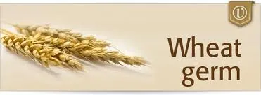 Fibre content in WG